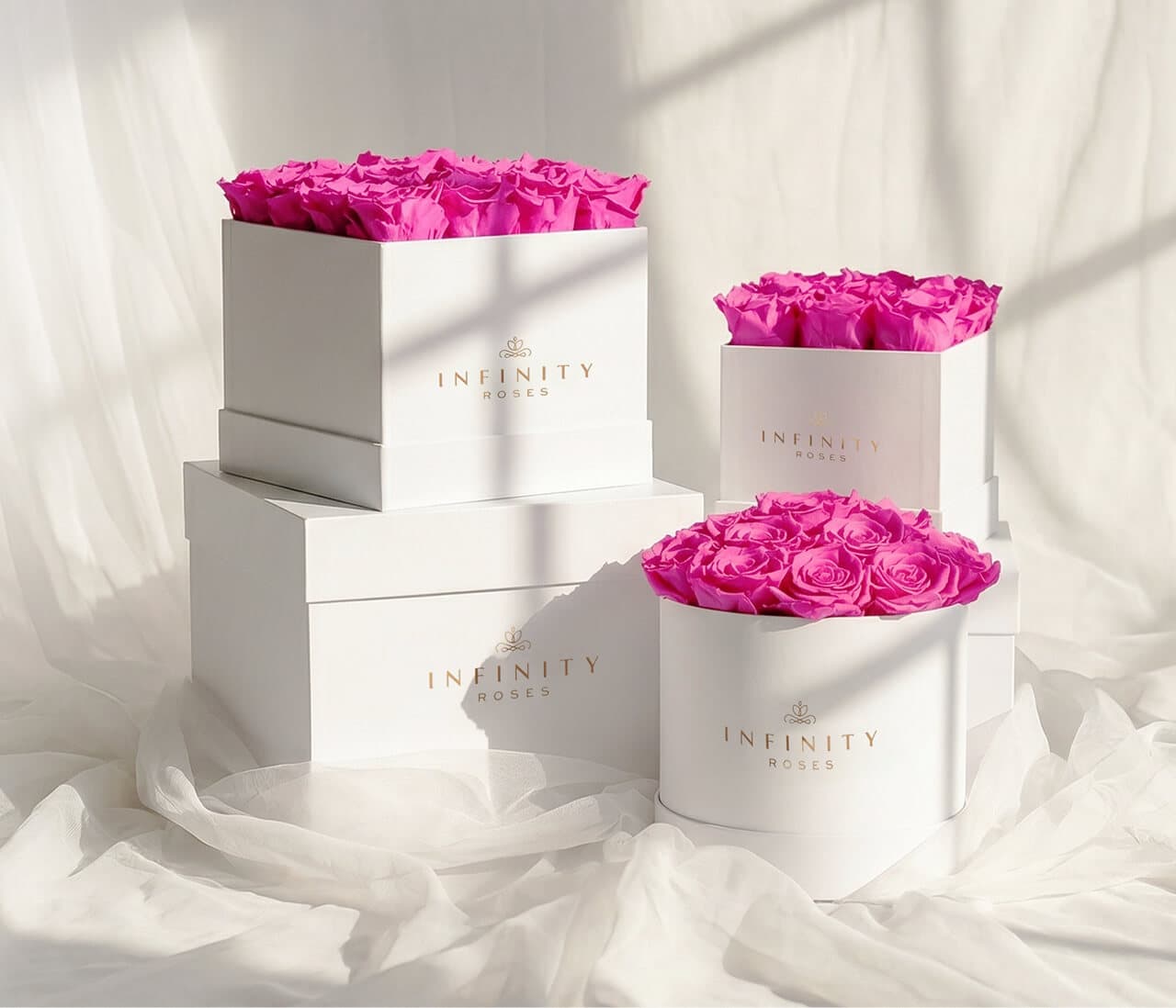 Preserved Roses That Last a Year | Infinity Roses