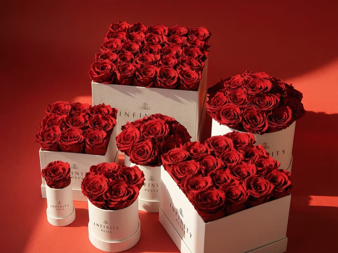 Forever Roses Or Infinity Roses Preserved Roses That Last a Year | Infinity Roses