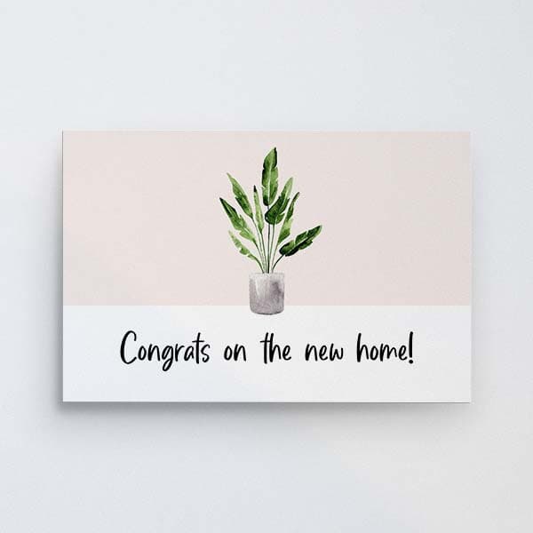 New Home