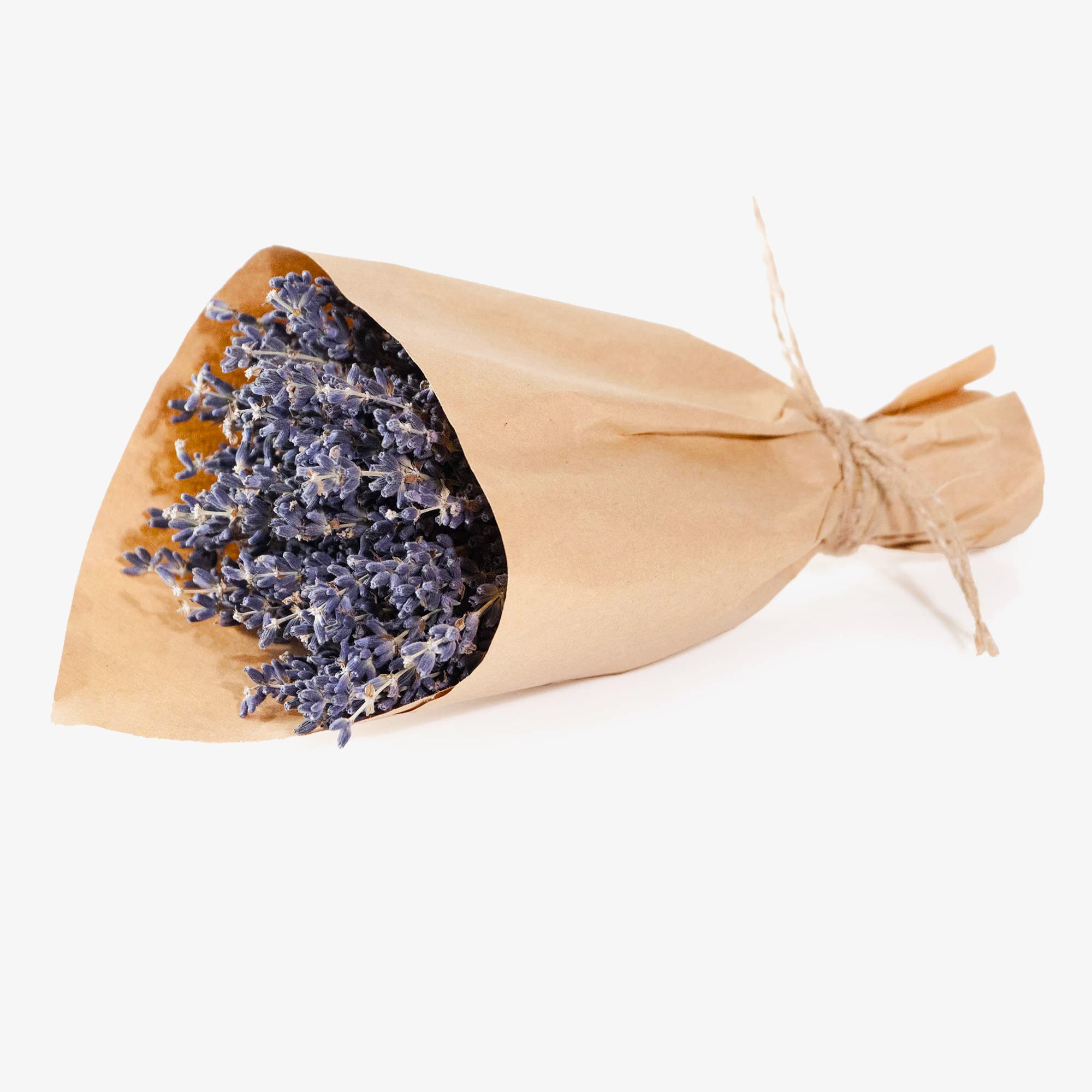 Mini French Lavender Bundle