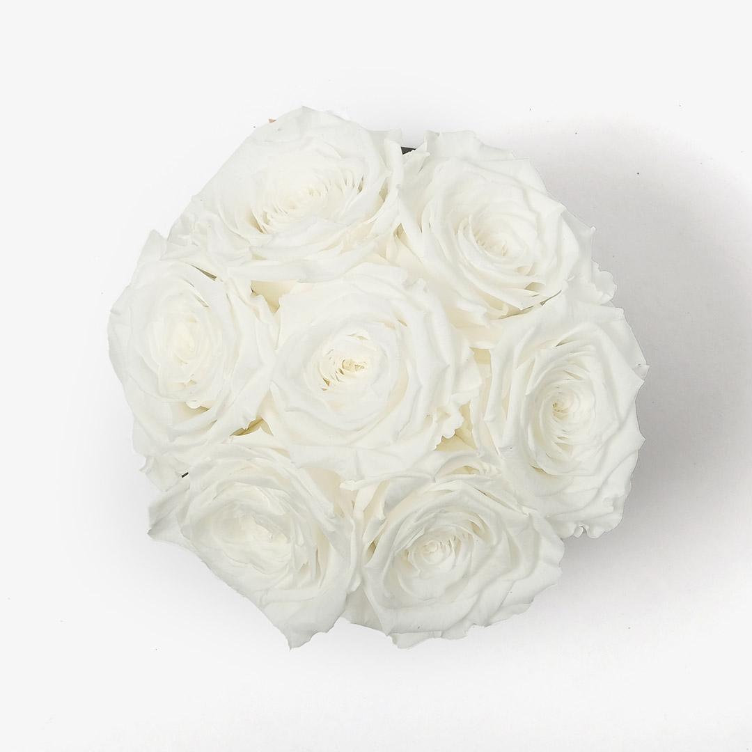 Image Carousel Slide