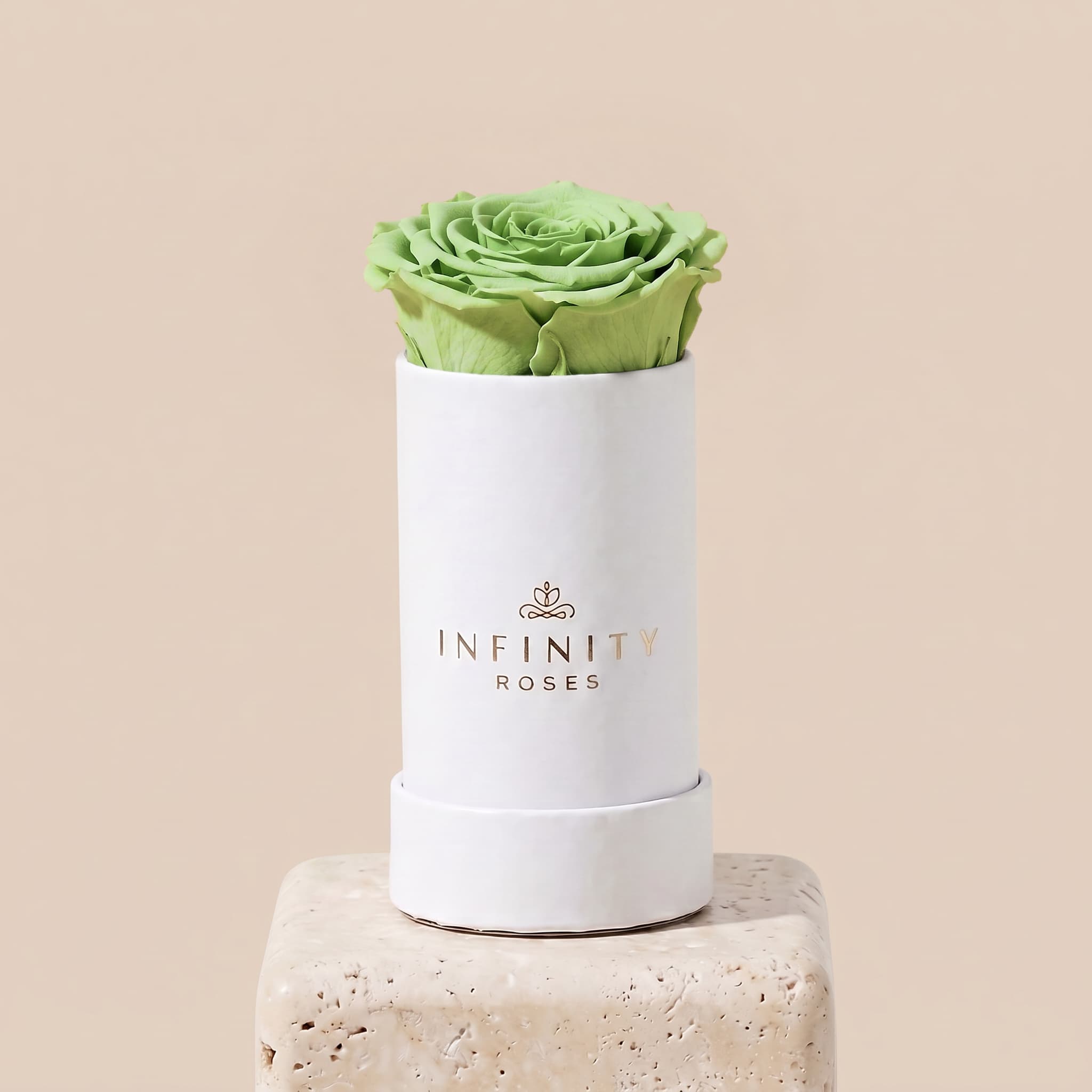Single Rose Box - Mint Rose - White Box