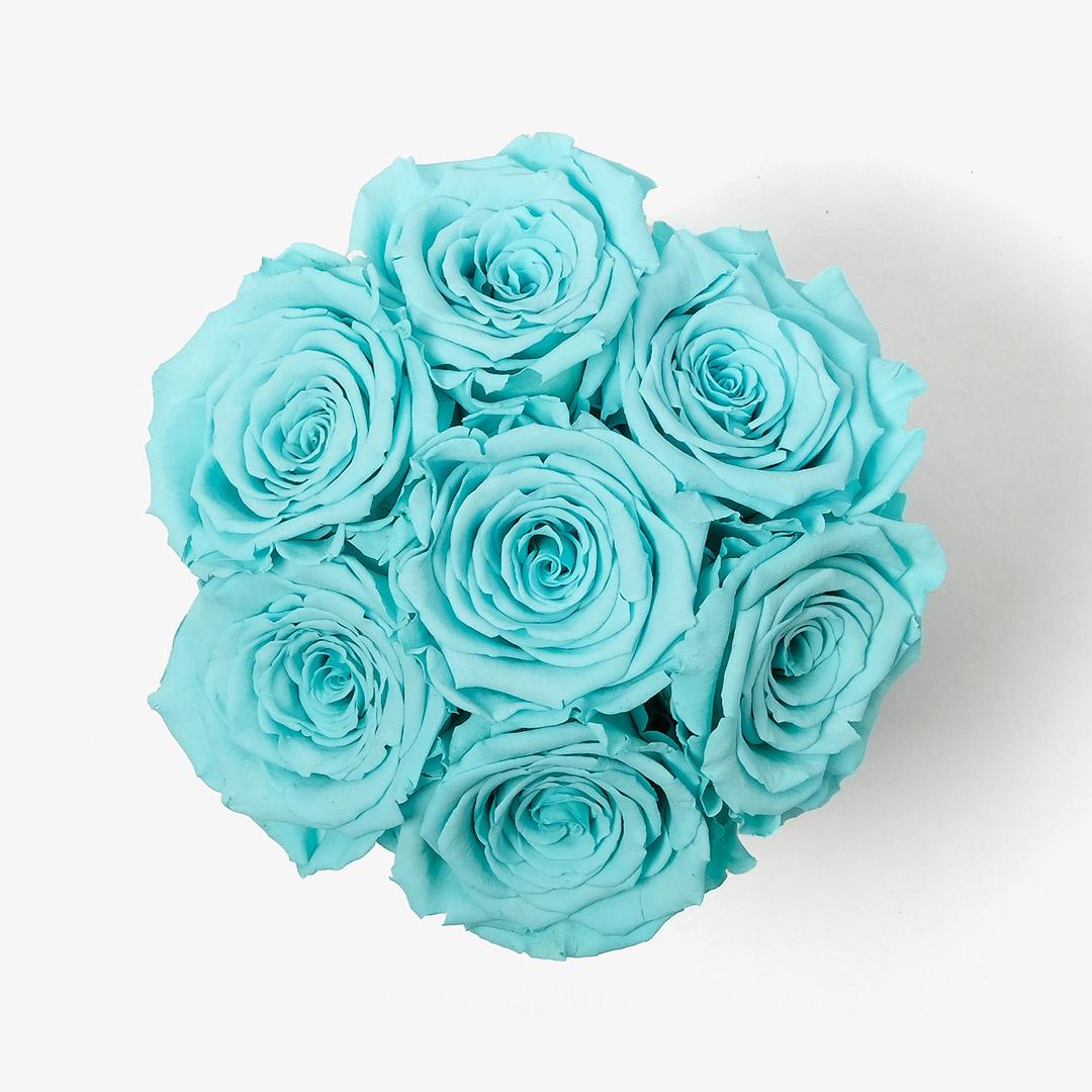 Image Carousel Slide