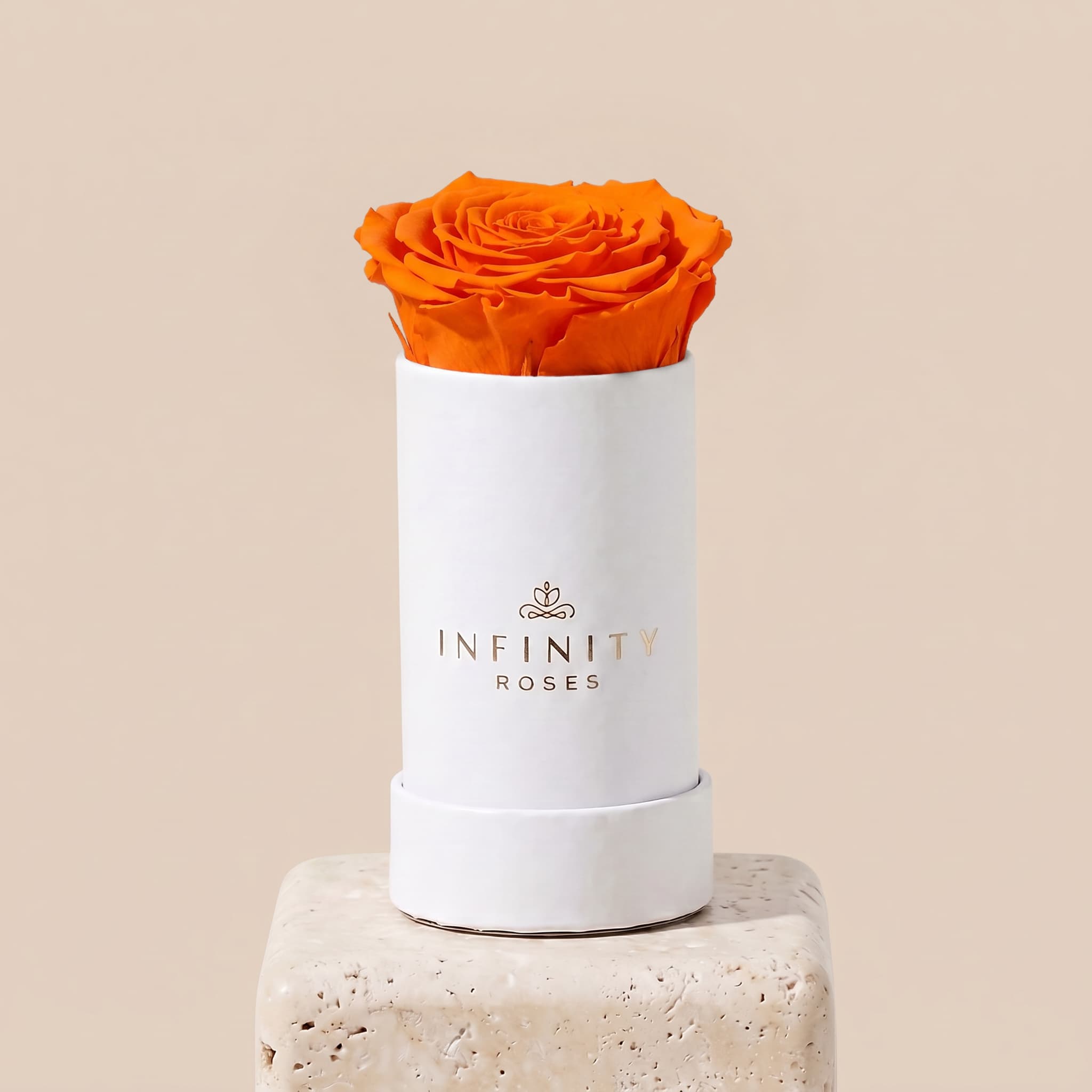 Single Rose Box - Orange Rose - White Box