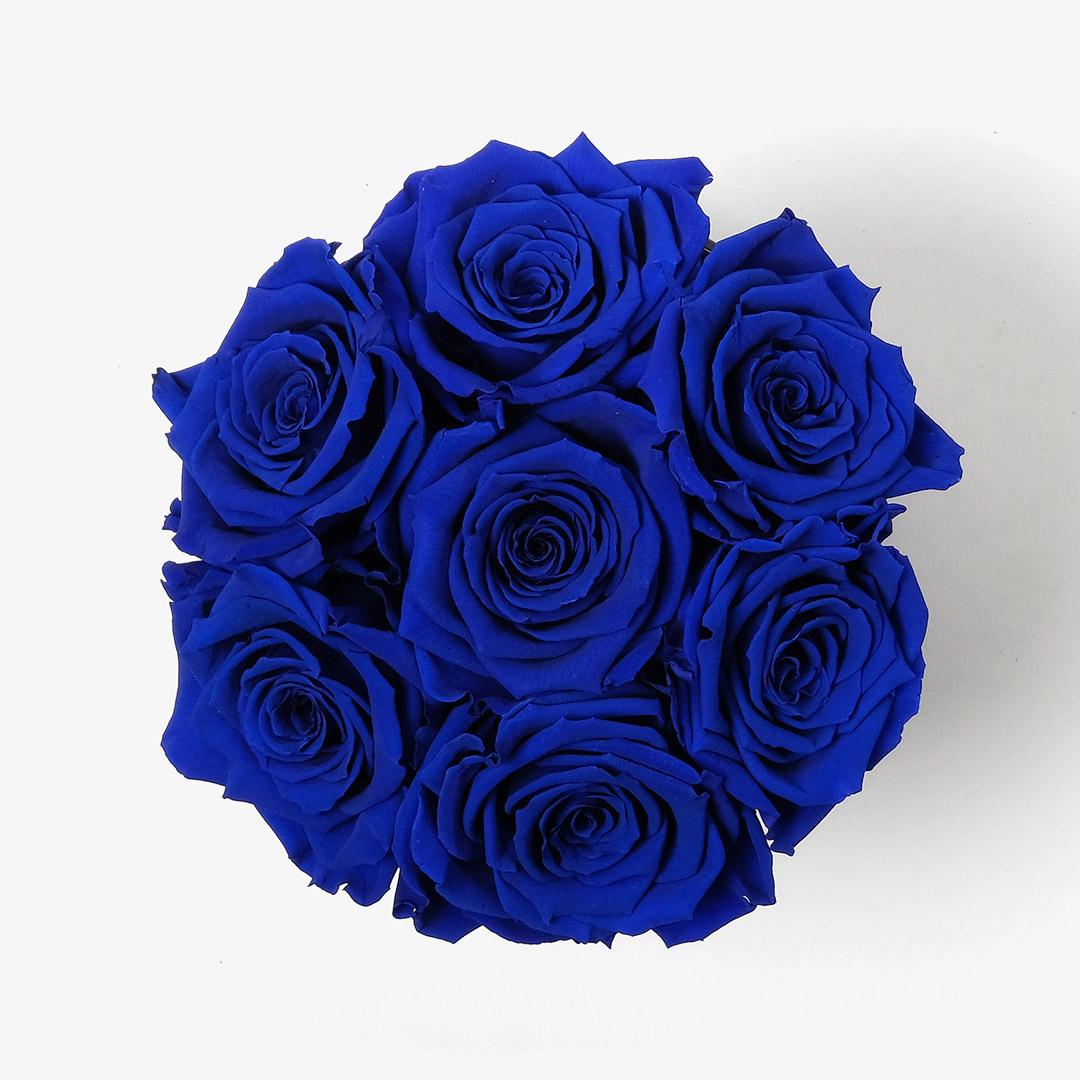 Image Carousel Slide