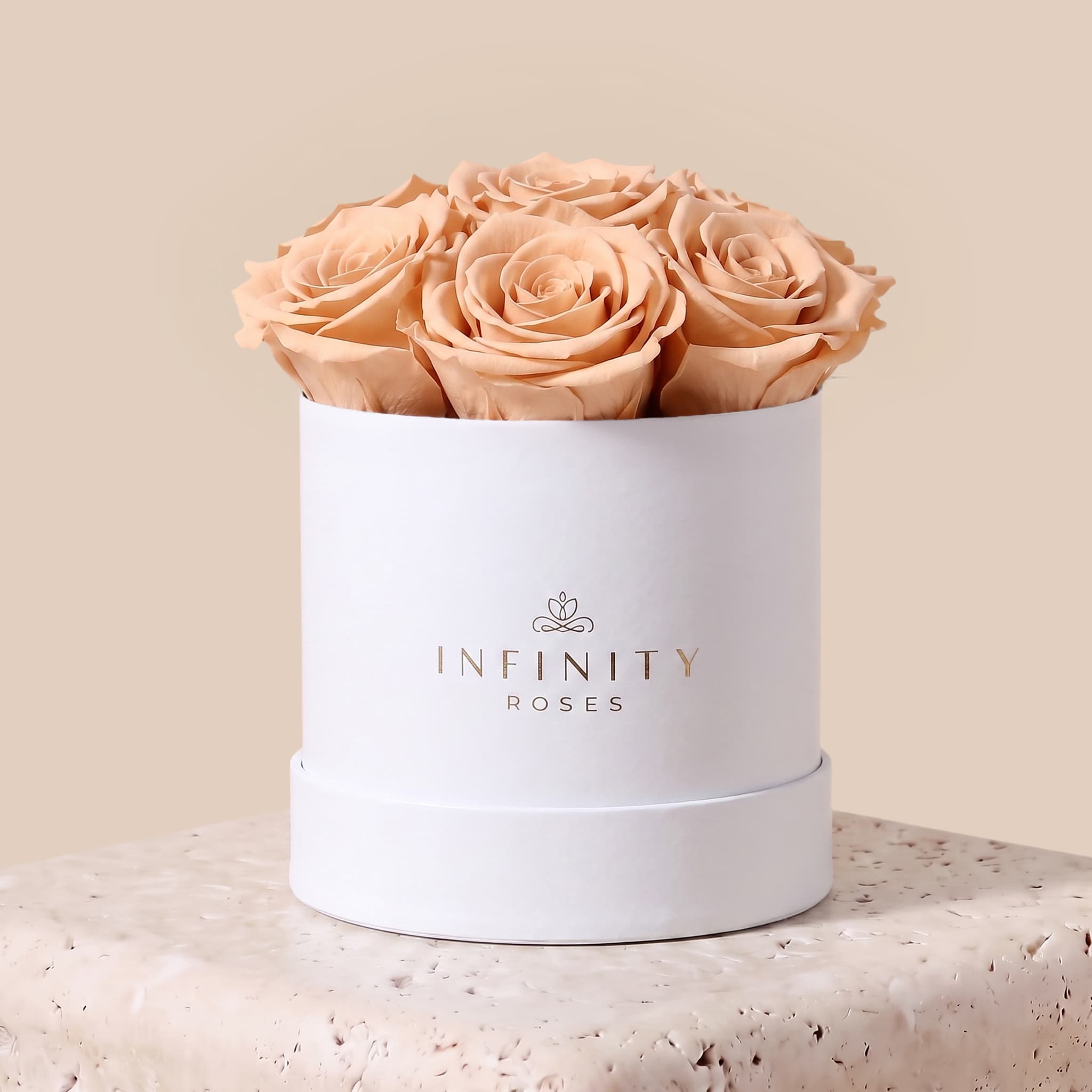 Medium Bloom Rose Box - Peach Rose - White Box