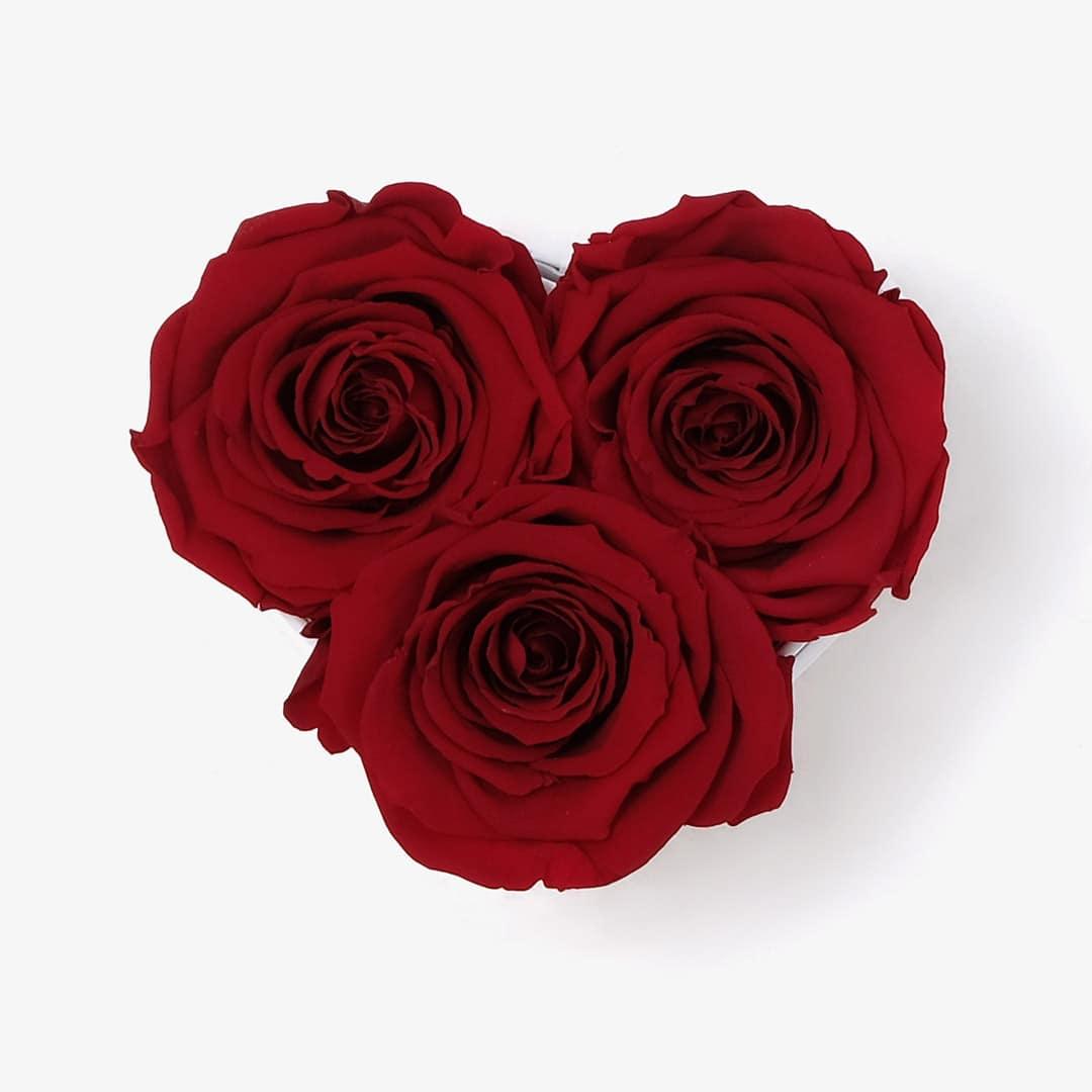 Image Carousel Slide