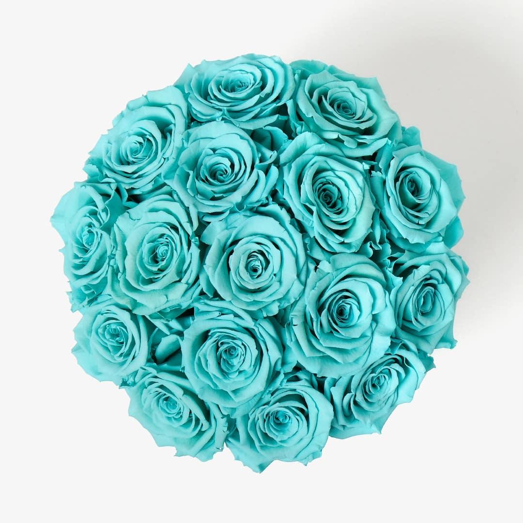 Large Bloom Rose Box - Turquoise Rose - White Box