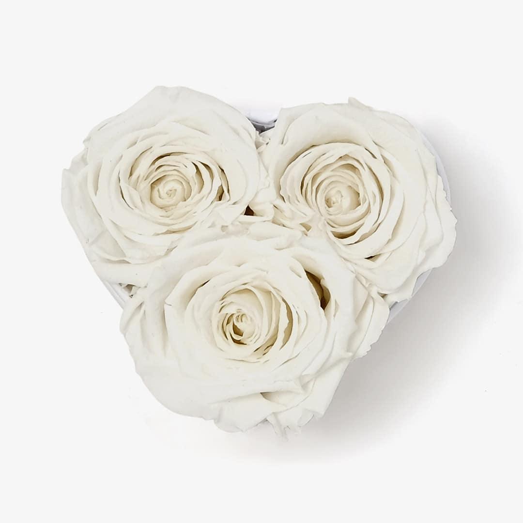 Image Carousel Slide