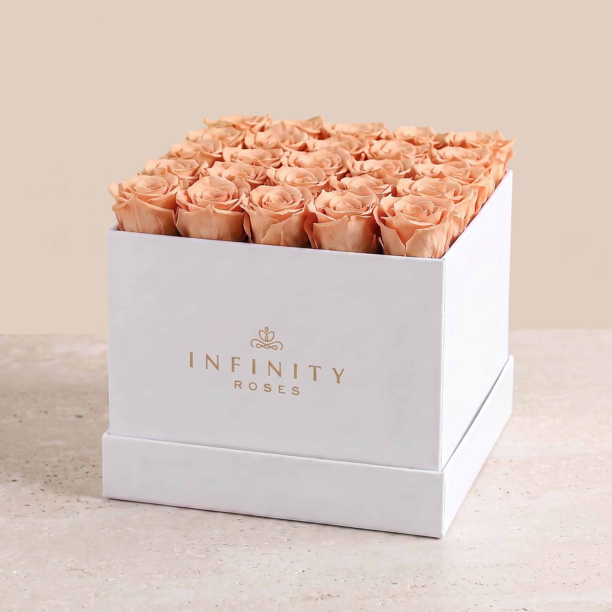 X-Large Square Rose box - Chocolate Rose - White Box