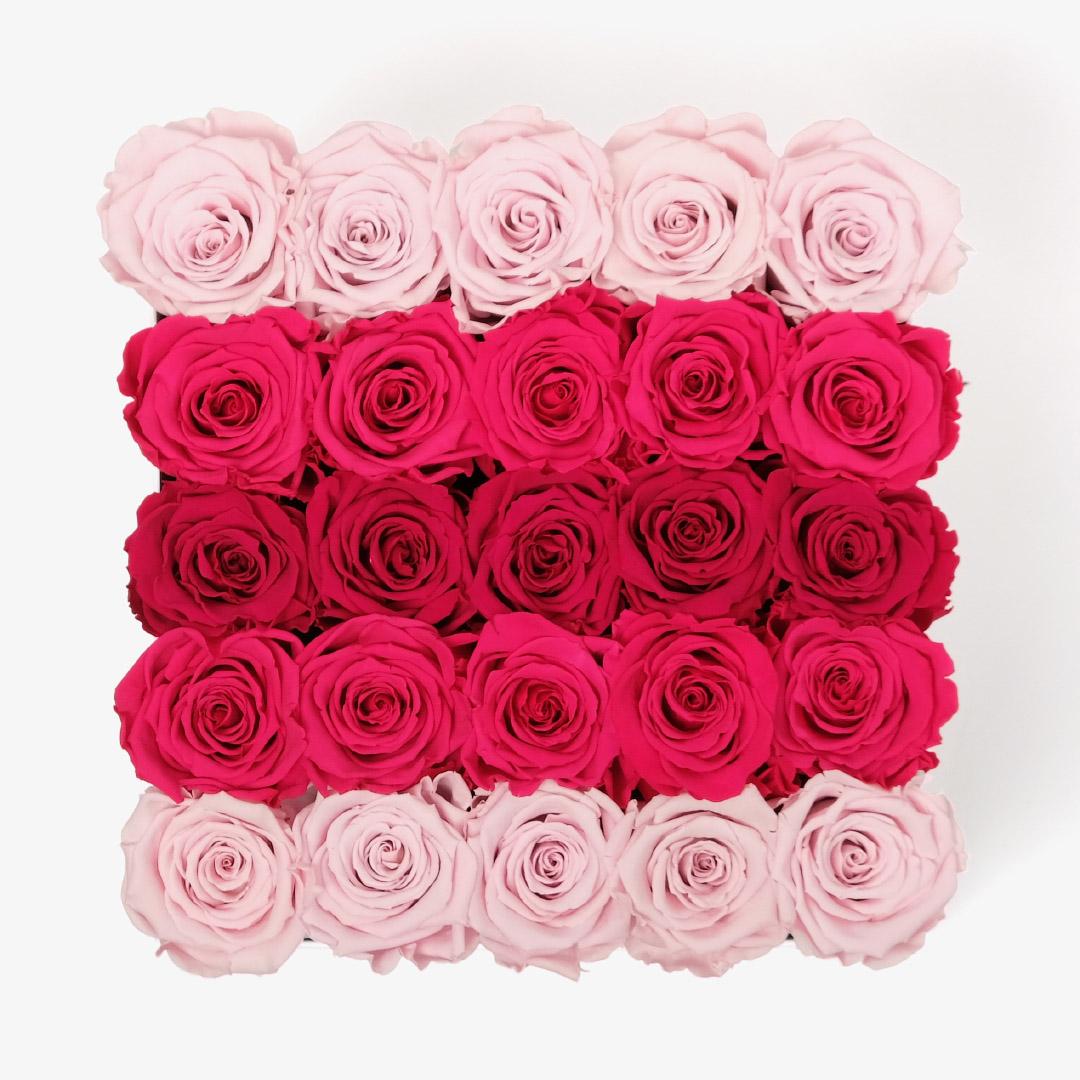 X-Large Square Ombre - Pink Ombre Rose - White Box