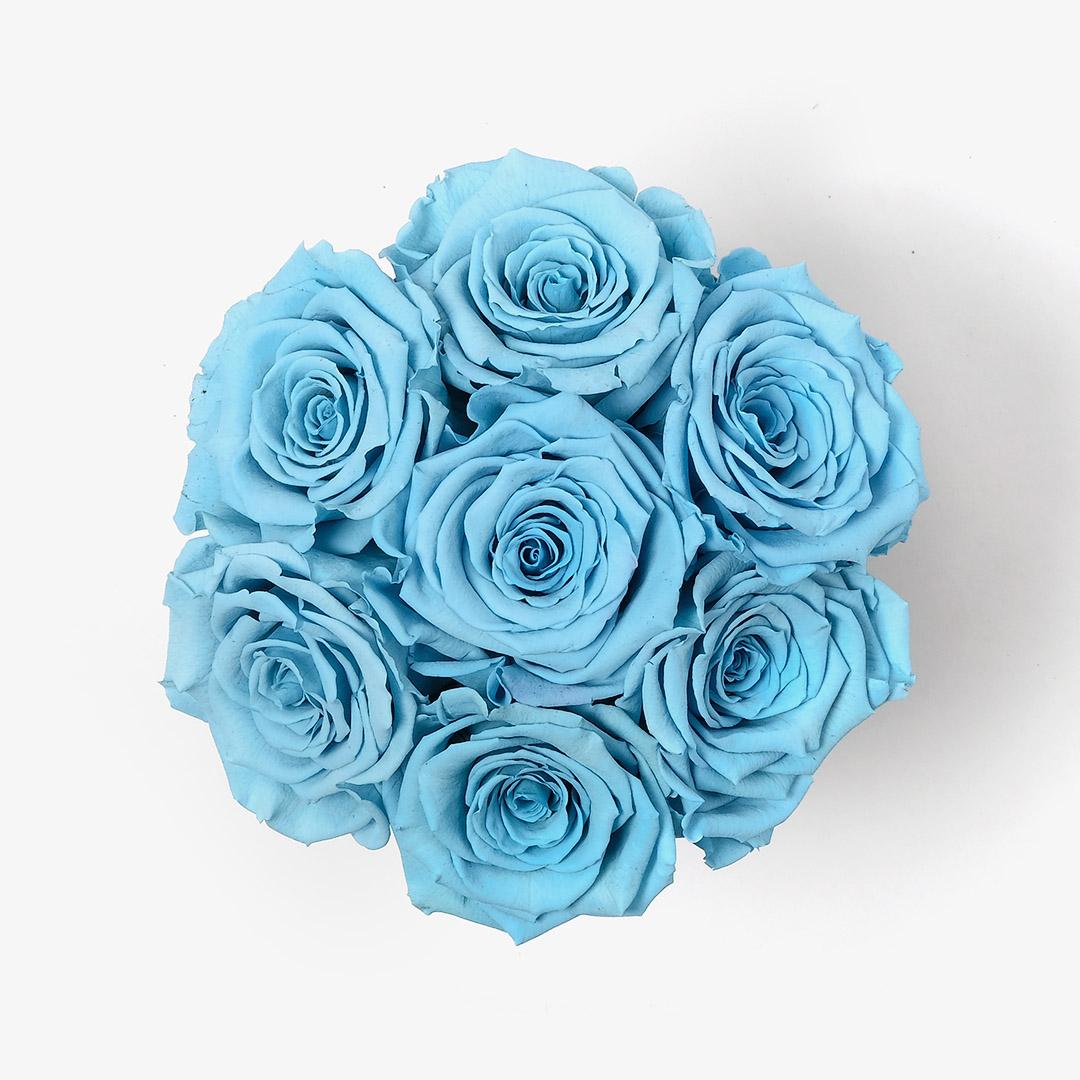 Image Carousel Slide