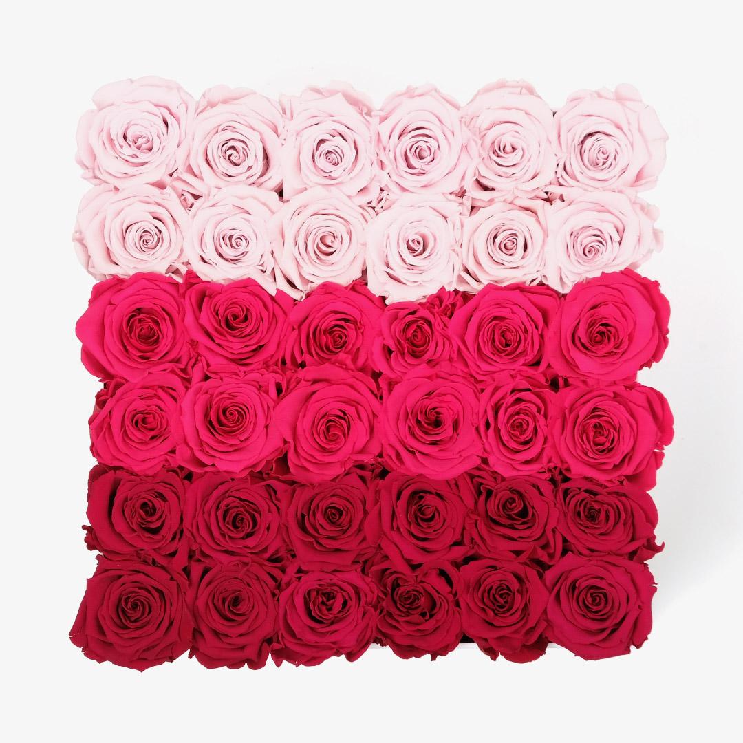 Grand Ombre Square Box - Pink Ombre Rose - Black Box