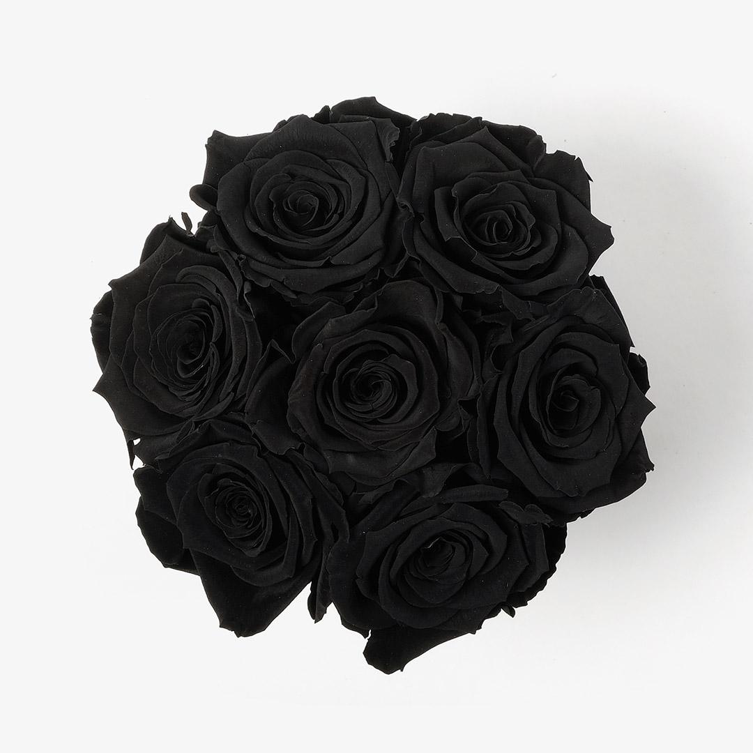 Image Carousel Slide