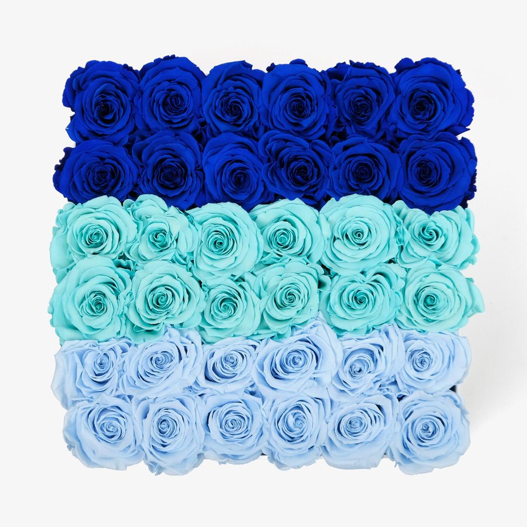 Grand Ombre Square Box - Blue Ombre Rose - Black Box