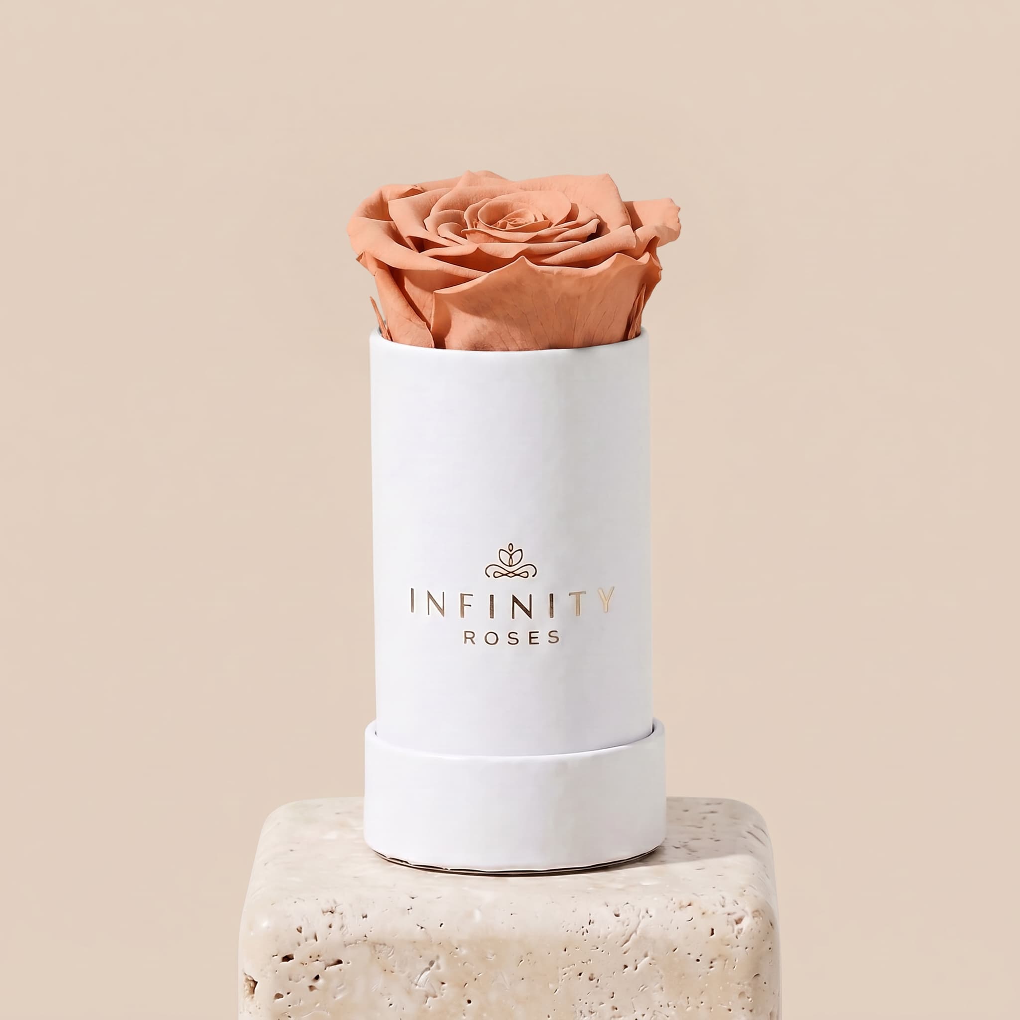 Single Rose Box - Chocolate Rose - White Box