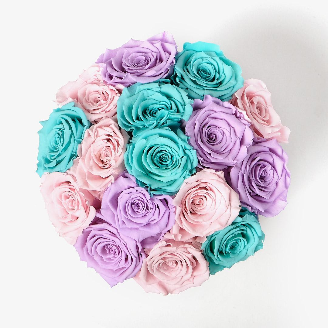 Large Bloom Ombre - Pastel Ombre Rose - Black Box