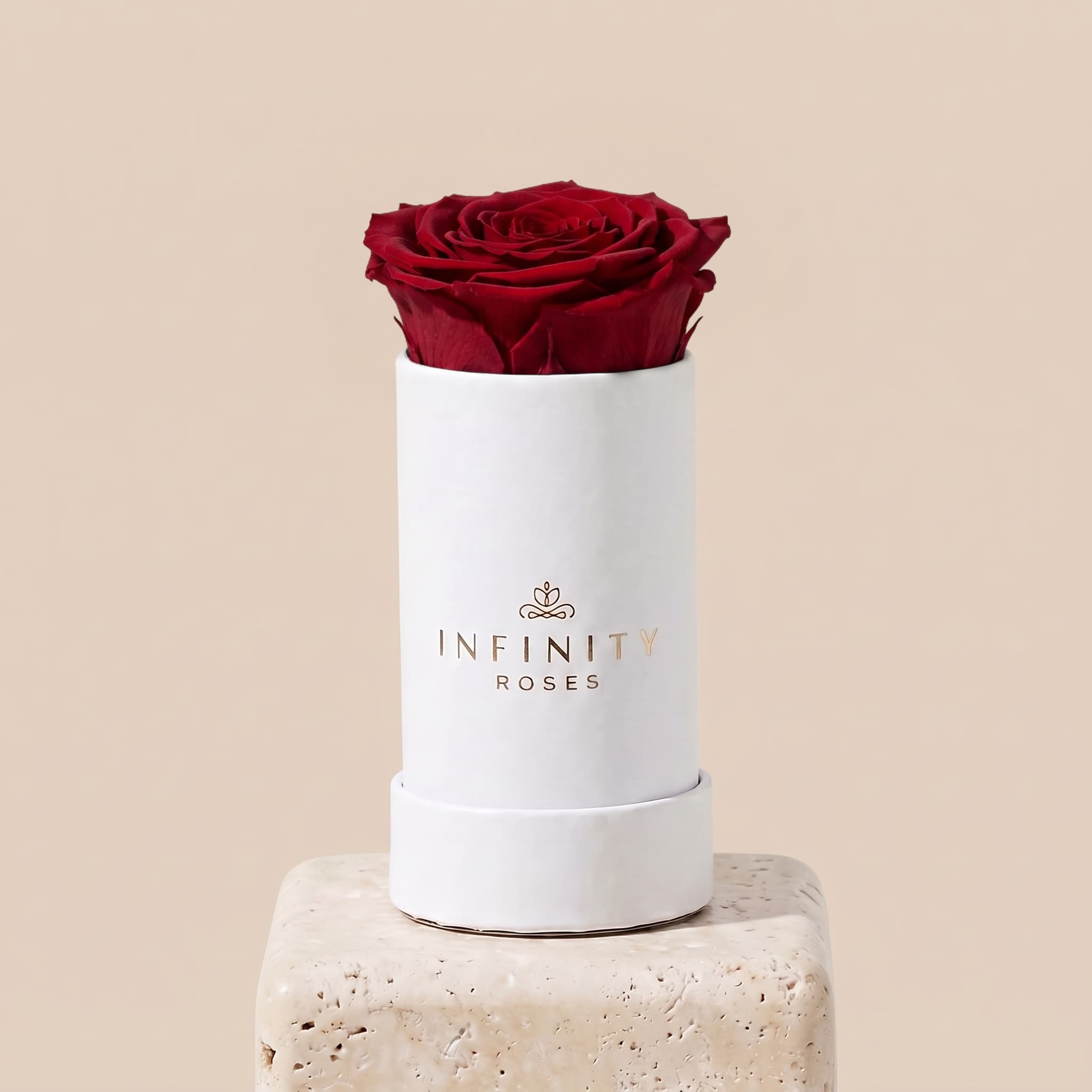 Single Rose Box - Red Rose - White Box