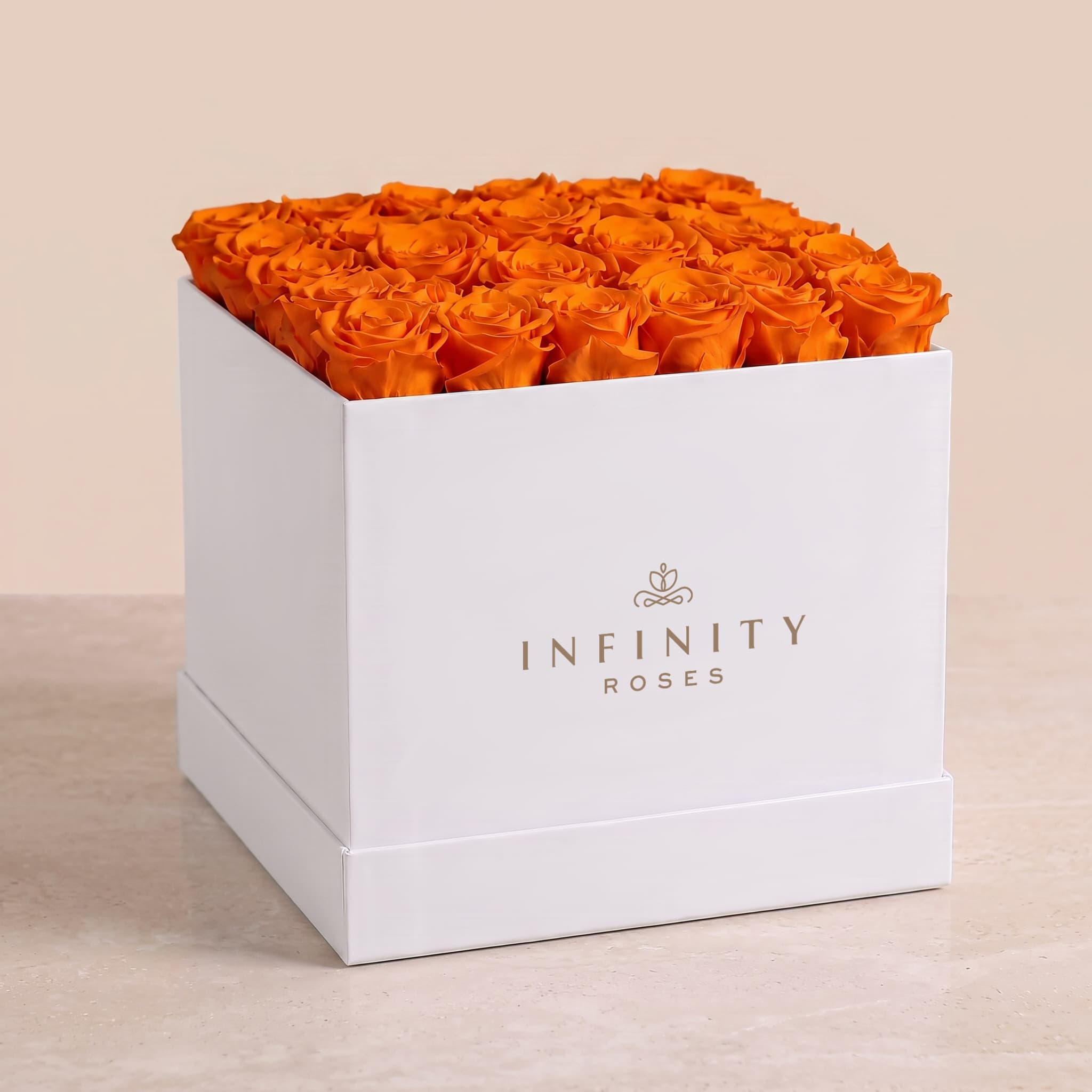 Image Carousel Slide