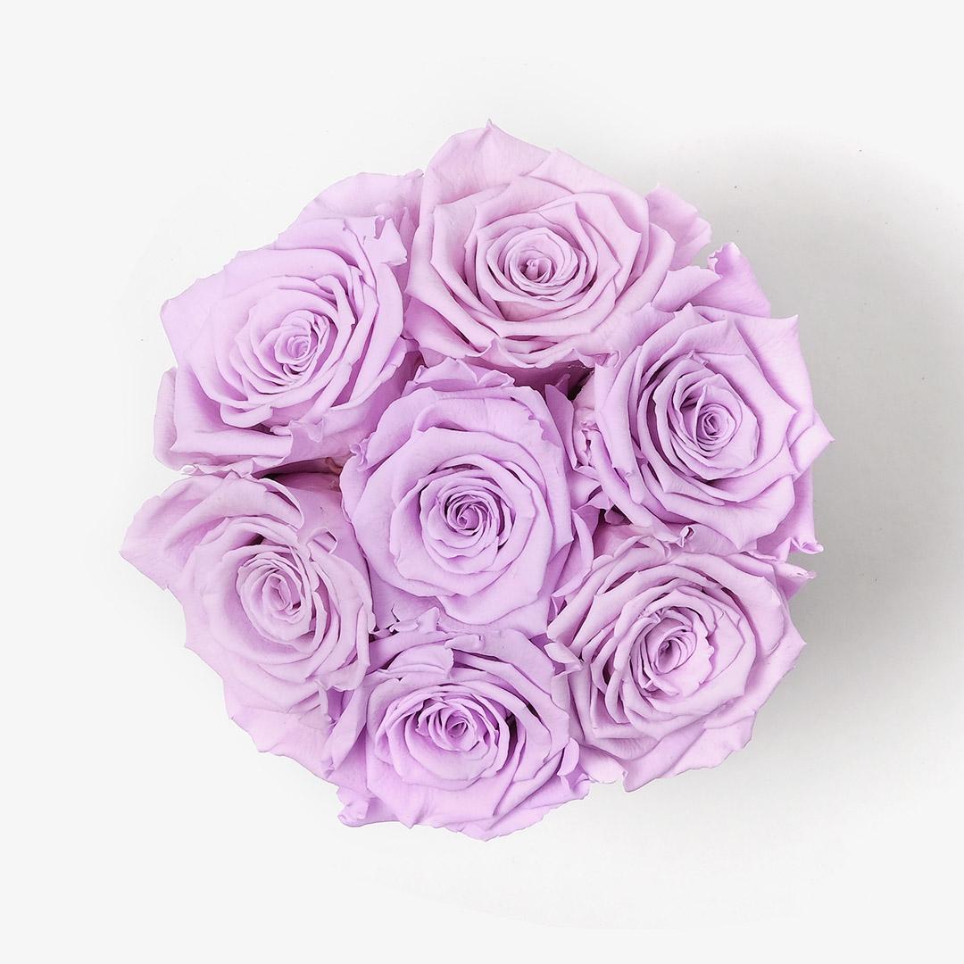 Image Carousel Slide