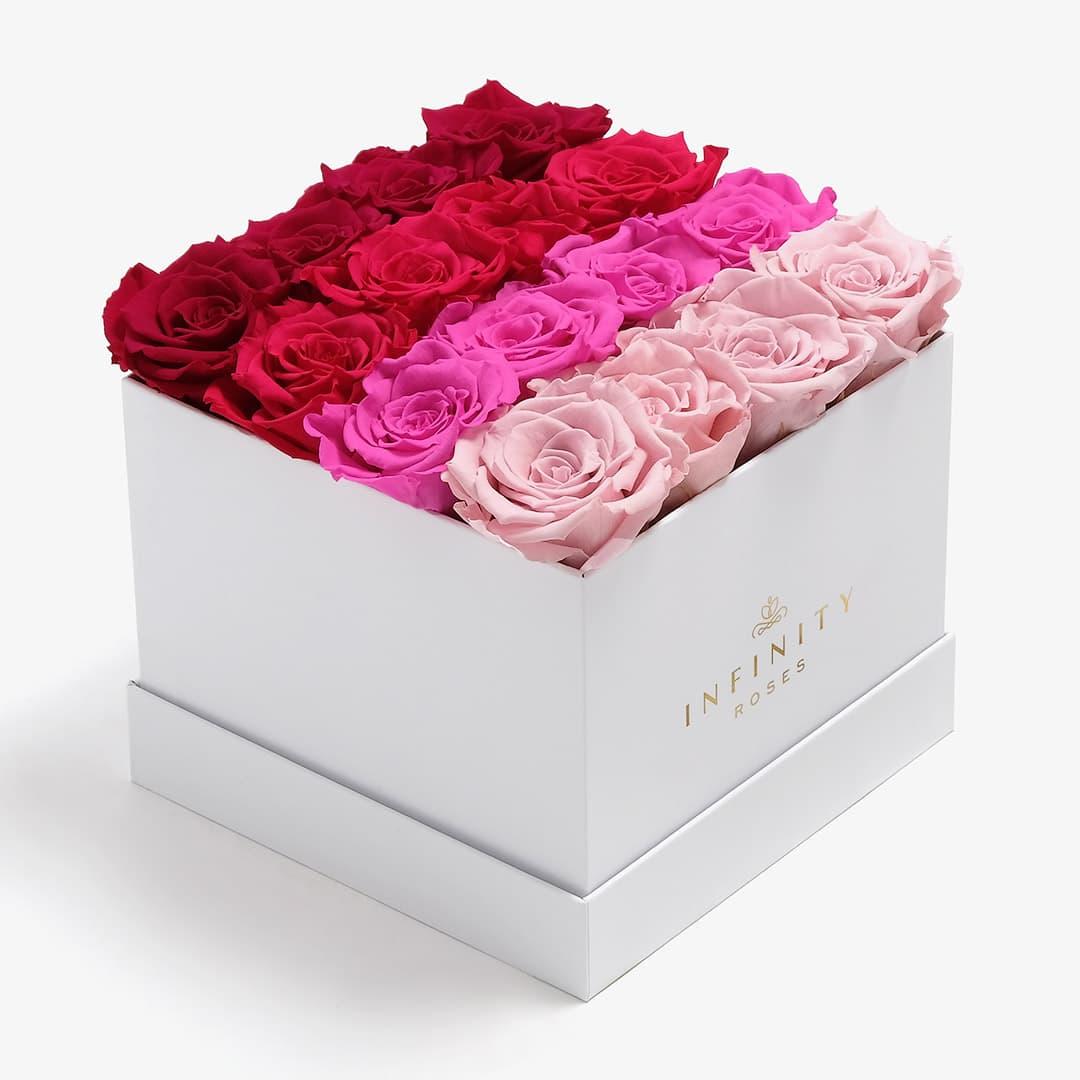 Large Square Ombre - Pink Ombre Rose - White Box