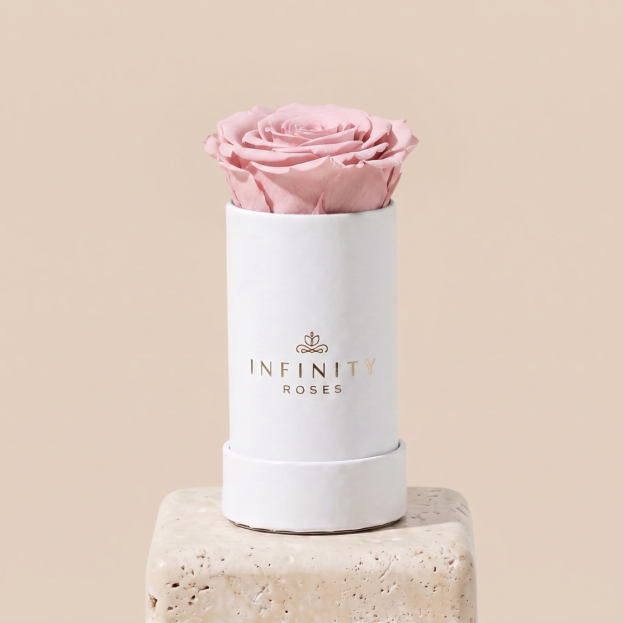 Single Rose Box - Pink Rose - White Box