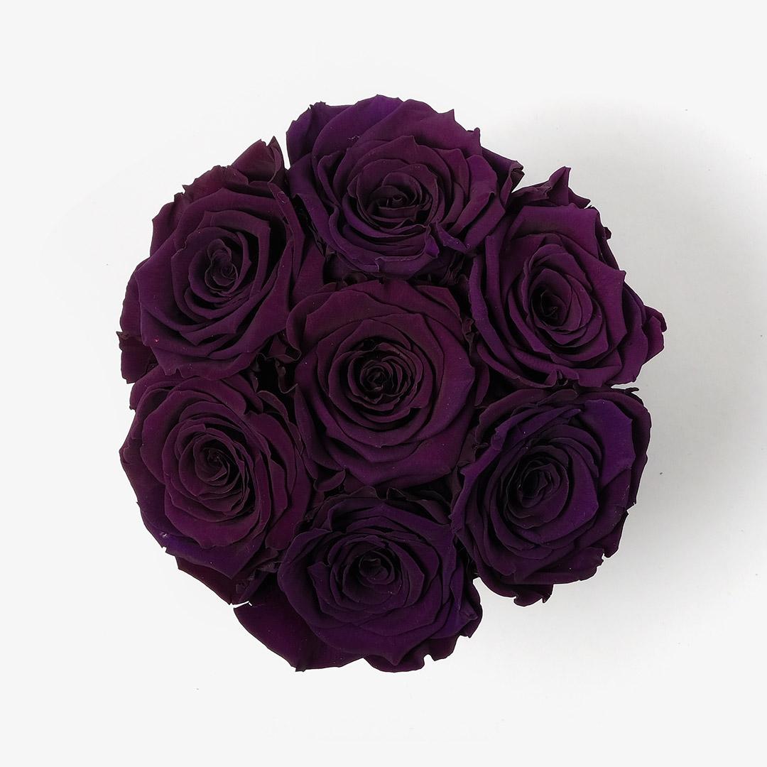 Image Carousel Slide