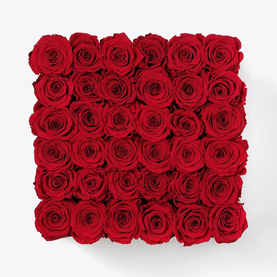 Image Carousel Slide