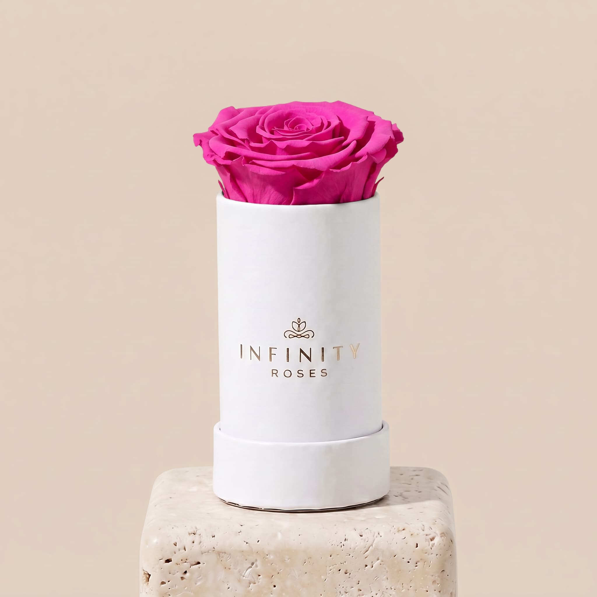 Single Rose Box - Hot Pink Rose - White Box
