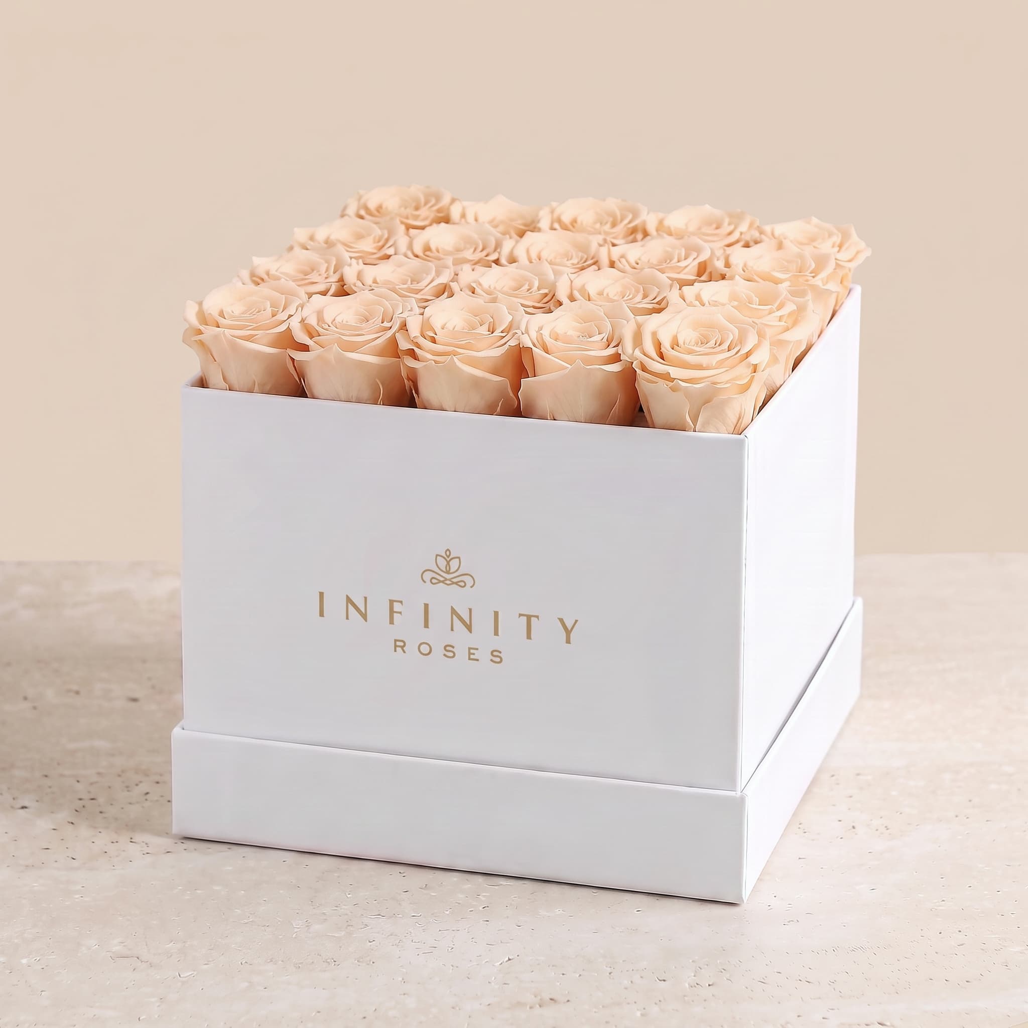 X-Large Square Rose box - Champagne Rose - White Box