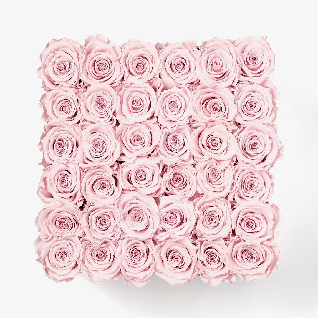 Image Carousel Slide