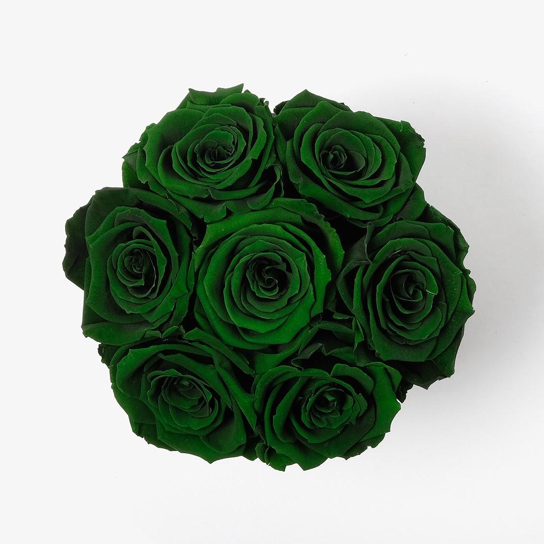 Image Carousel Slide