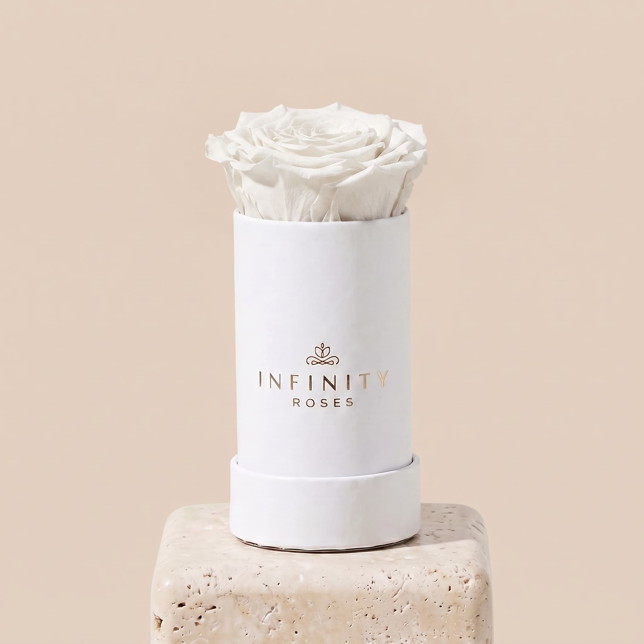 Single Rose Box - White Rose - White Box