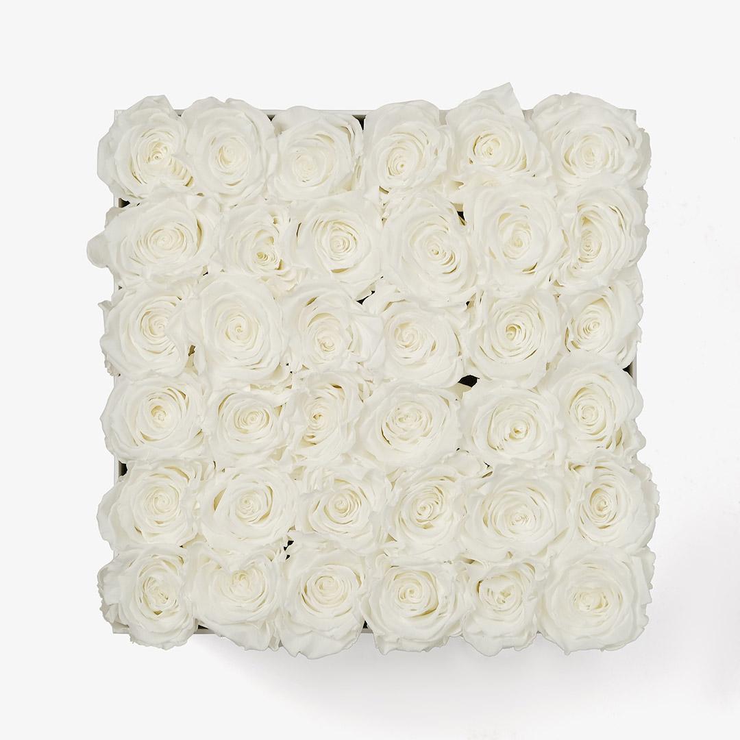 Image Carousel Slide