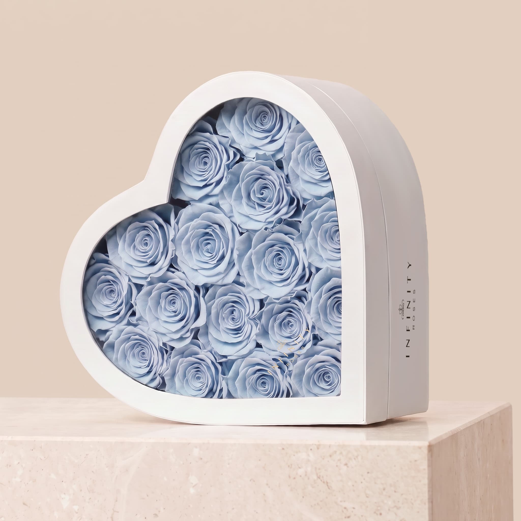 Image Carousel Slide