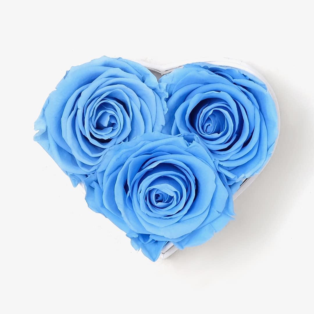 Image Carousel Slide