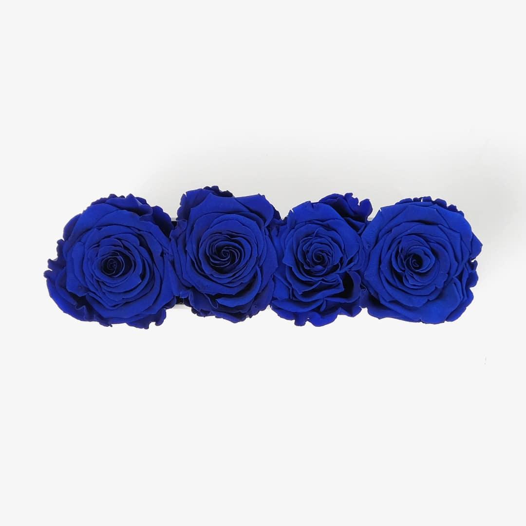 Image Carousel Slide