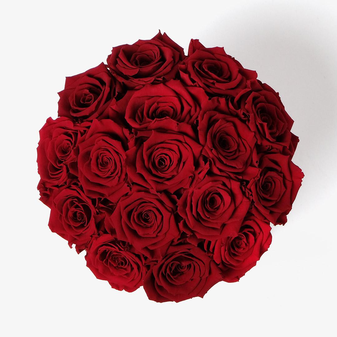 Image Carousel Slide