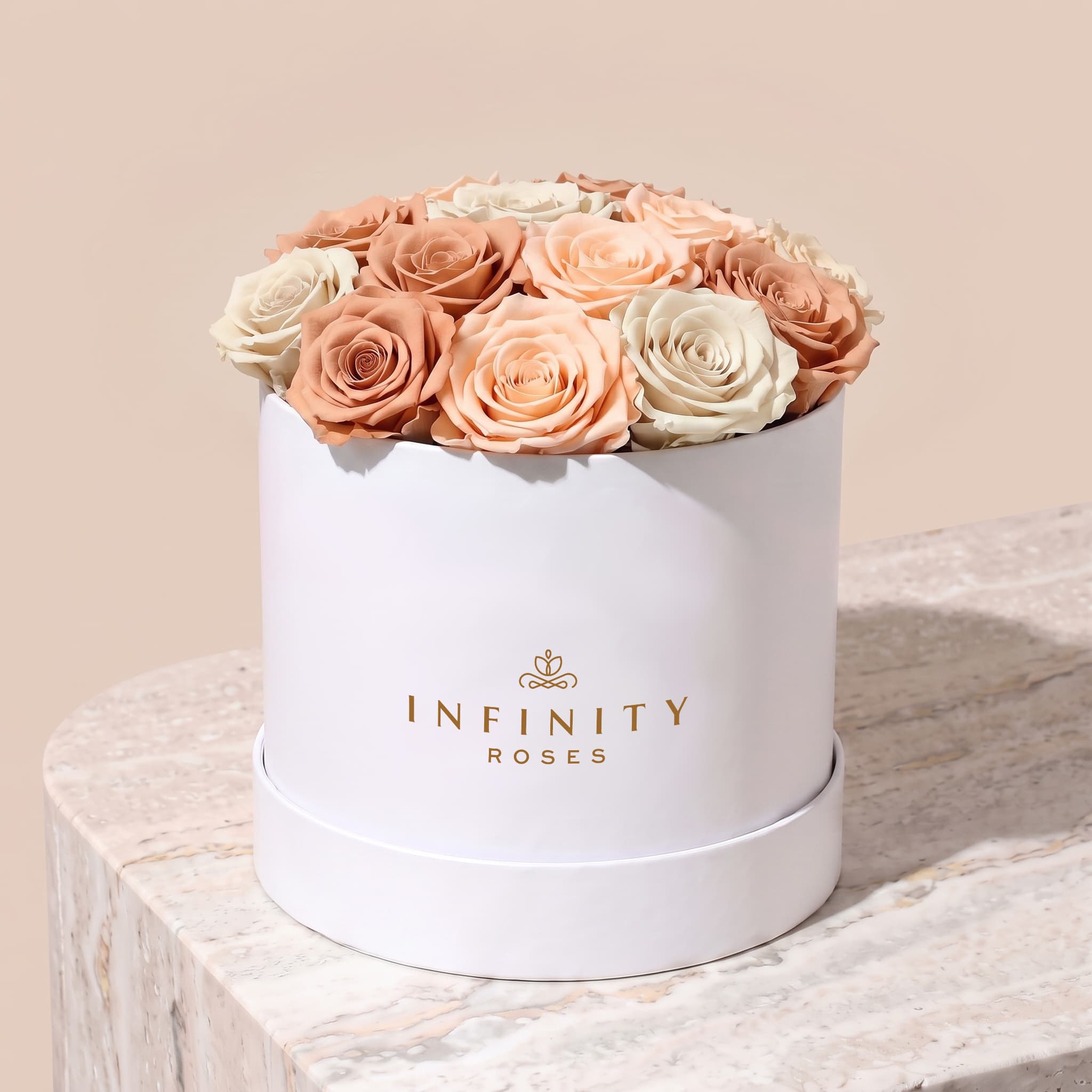 Large Bloom Rose Box - Latte Rose - White Box