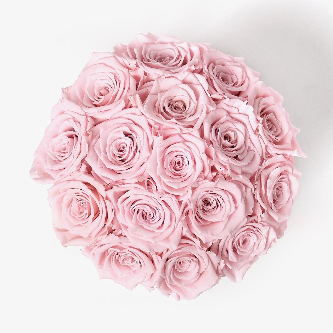 Image Carousel Slide