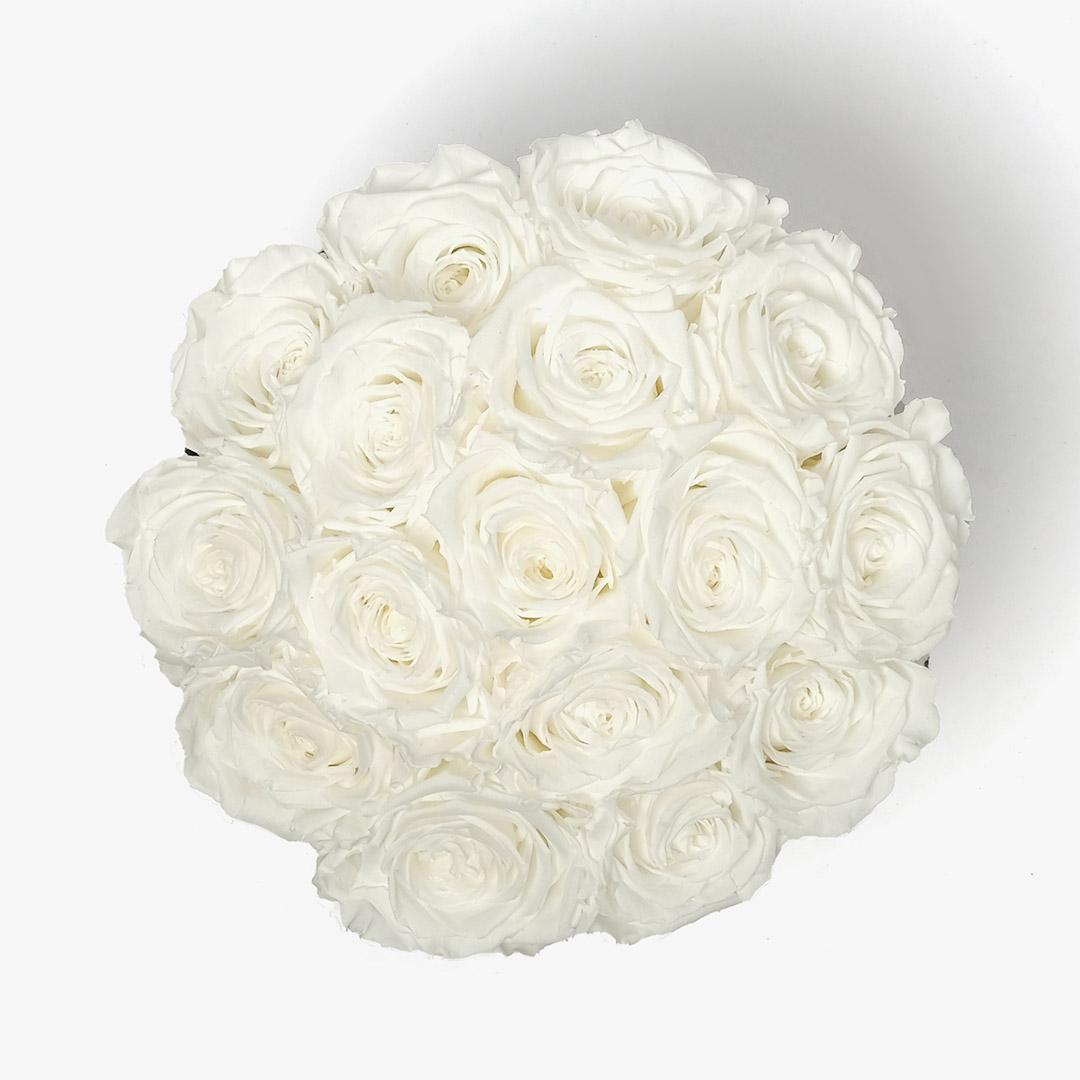 Image Carousel Slide