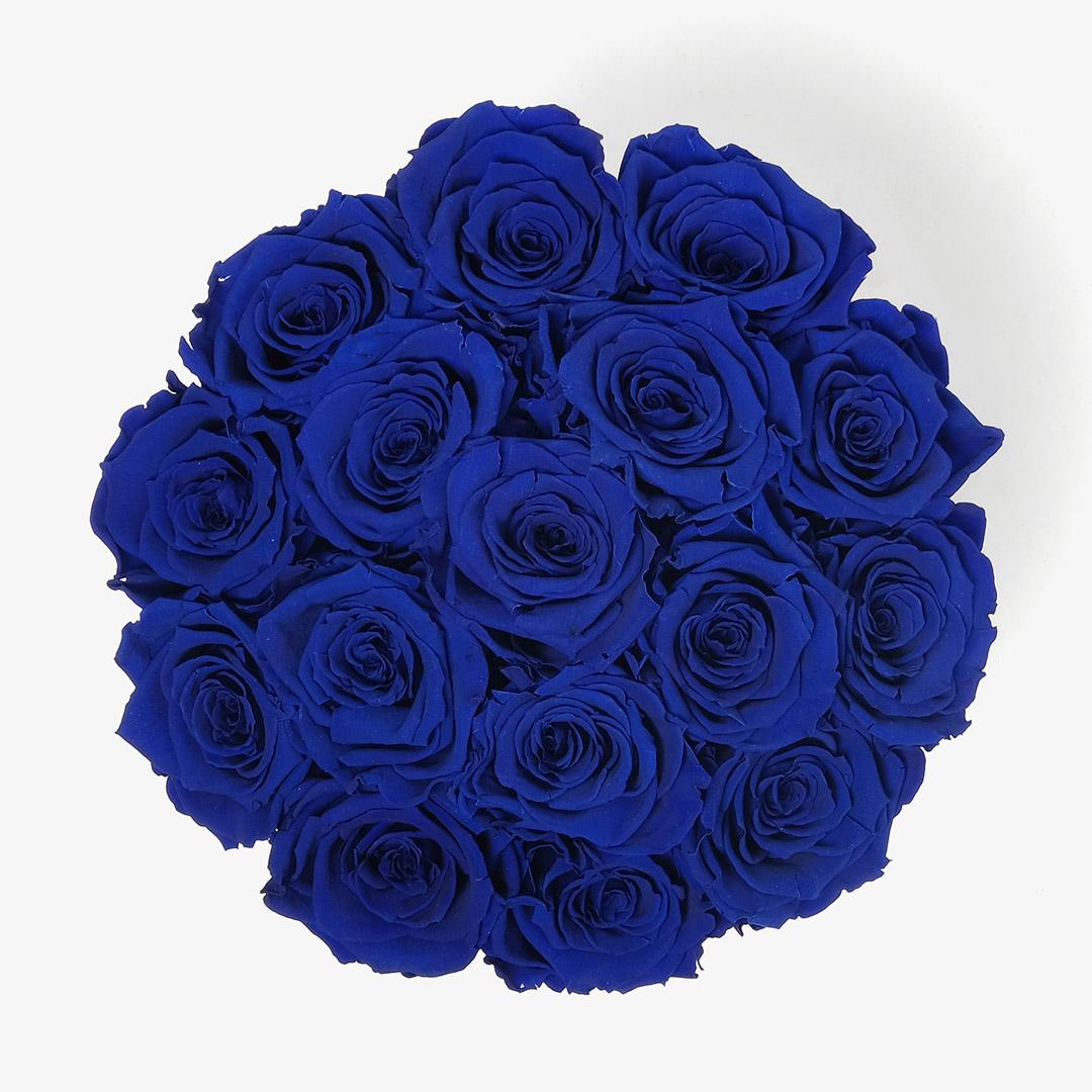 Image Carousel Slide