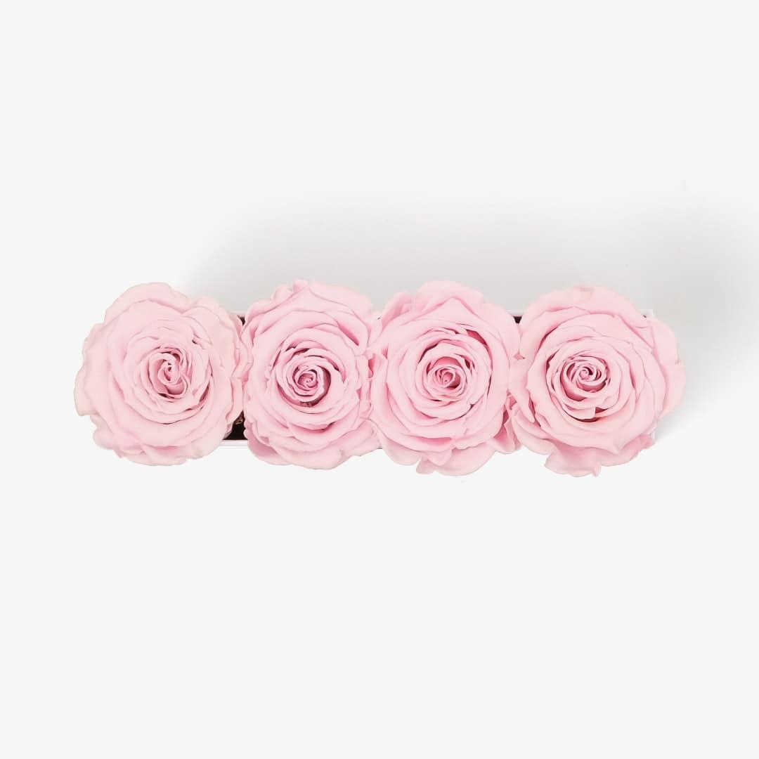 Image Carousel Slide