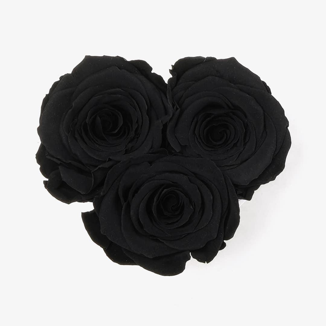 Image Carousel Slide