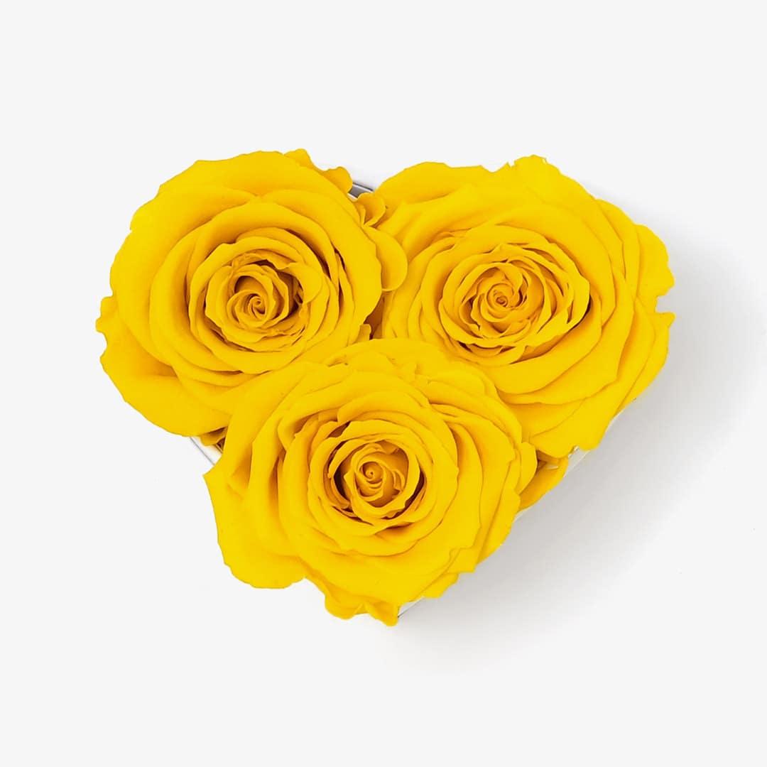 Image Carousel Slide