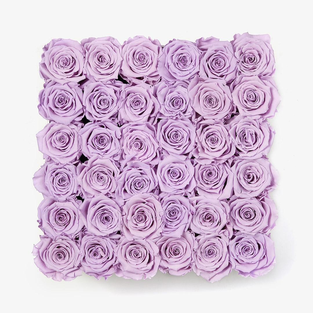 Image Carousel Slide