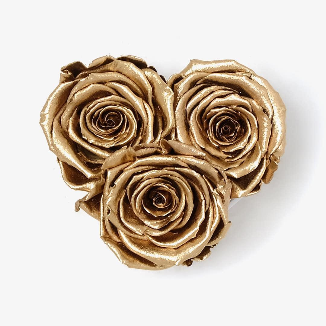 Image Carousel Slide