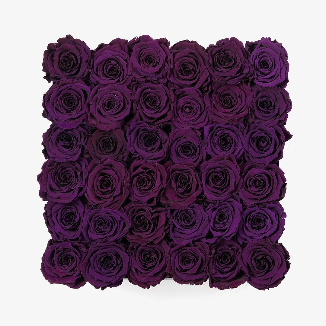 Image Carousel Slide