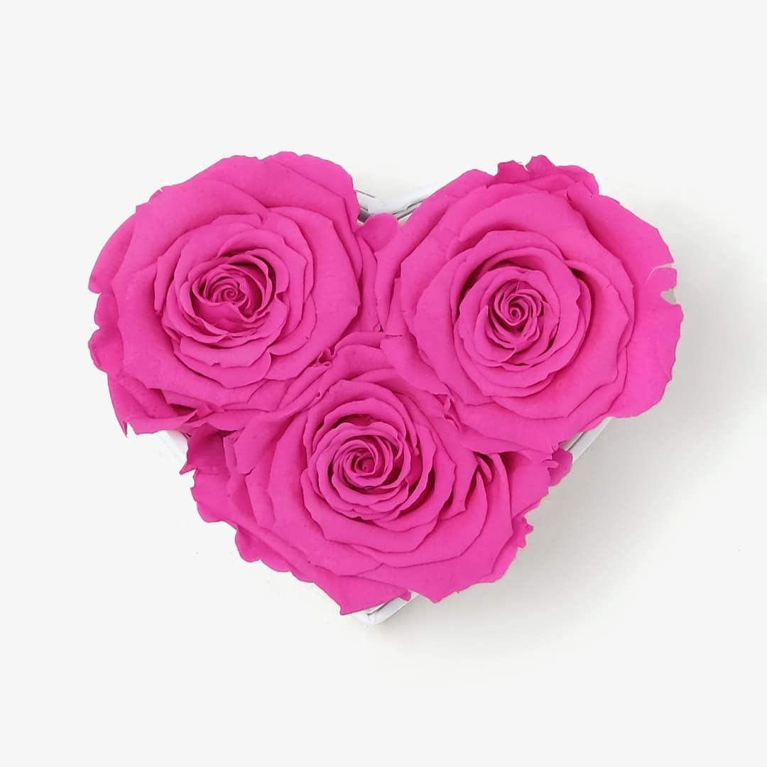 Image Carousel Slide