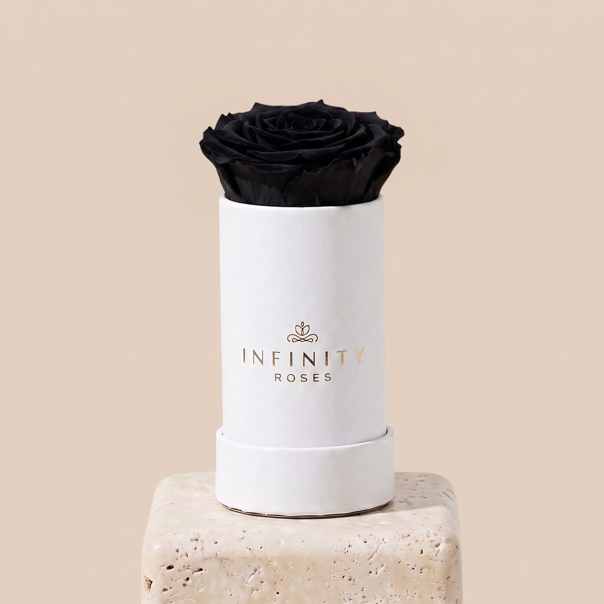 Single Rose Box - Black Rose - White Box
